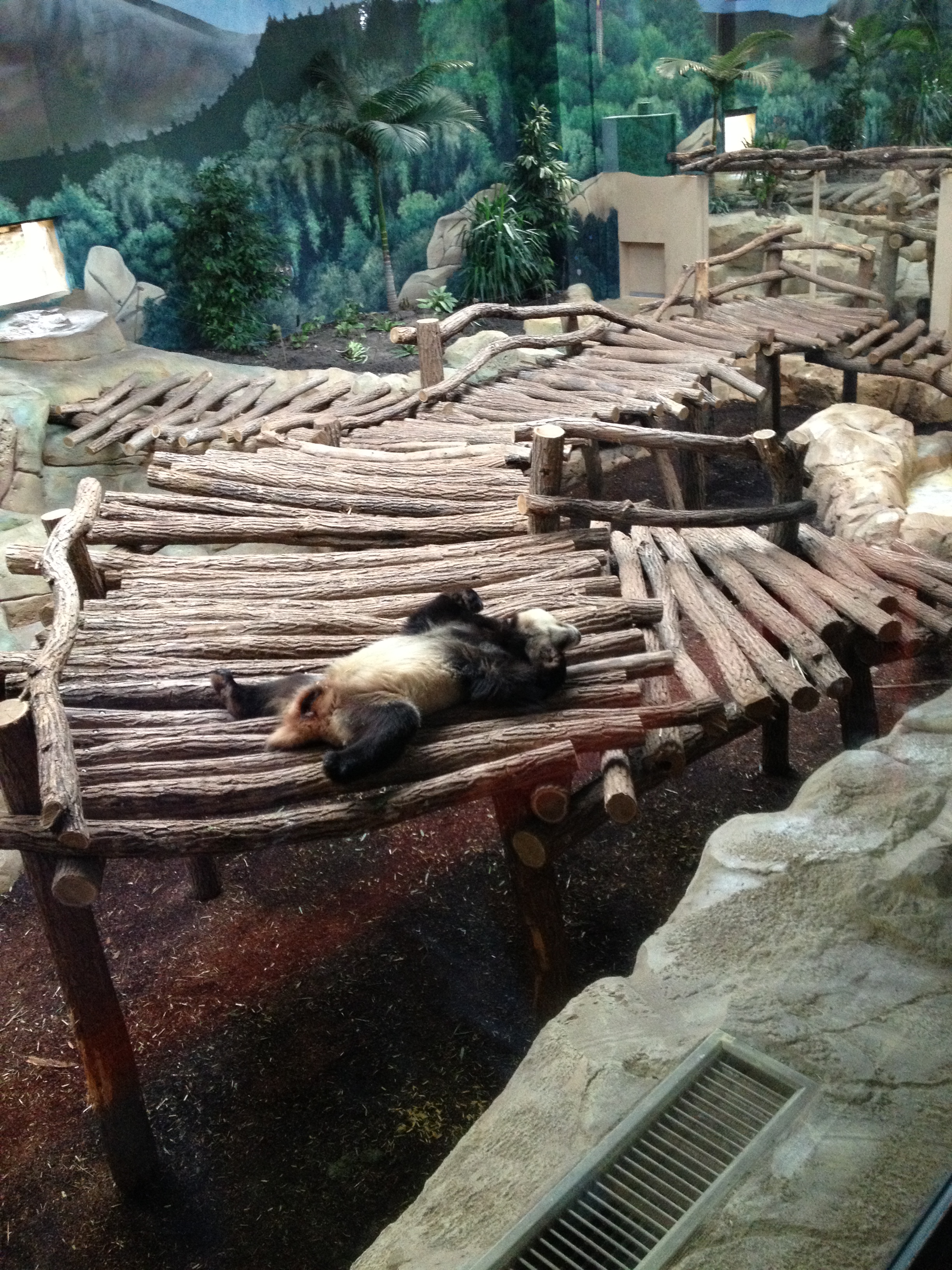 Je mange des bananes mais…