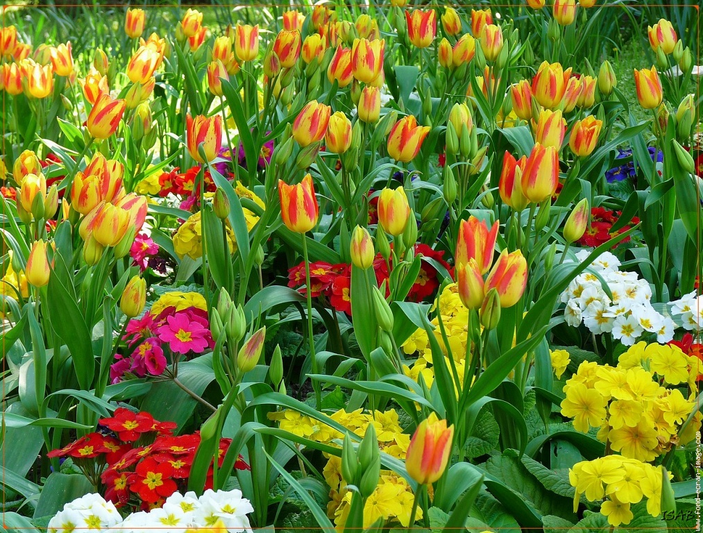 Et si le printemps de la&nbsp;France…