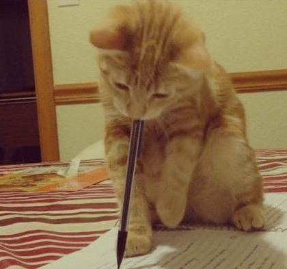 Lettre ouverte à Madame Le Ministre de la&nbsp;Culture