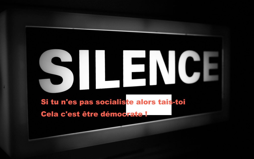 Délit d&rsquo;opinion