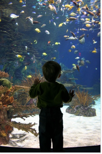 Le grand jeu économique…