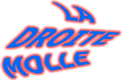 Putain de Droite molle&nbsp;!