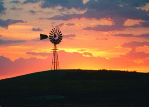 Les mots nouveaux…