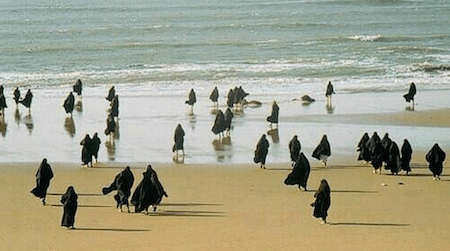 a la plage pingouins