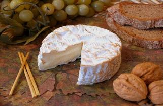 camembert