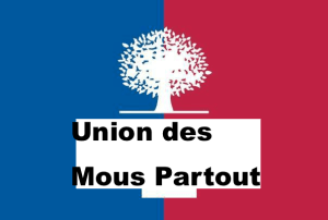 ump new logo - copie