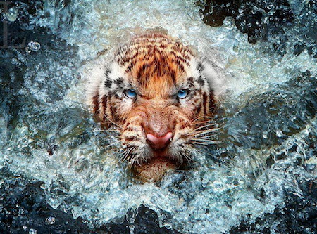 Nous sommes tous des&nbsp;REAC…