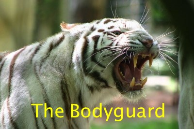 Section d&rsquo;assaut