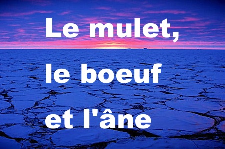 Le Roi et sa suite&nbsp;2