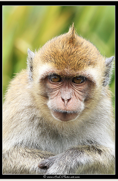 Capture d’écran 2014-12-06 à 16.12.11