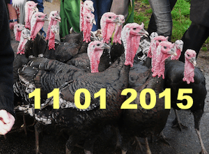 La marche des&nbsp;amnésiques