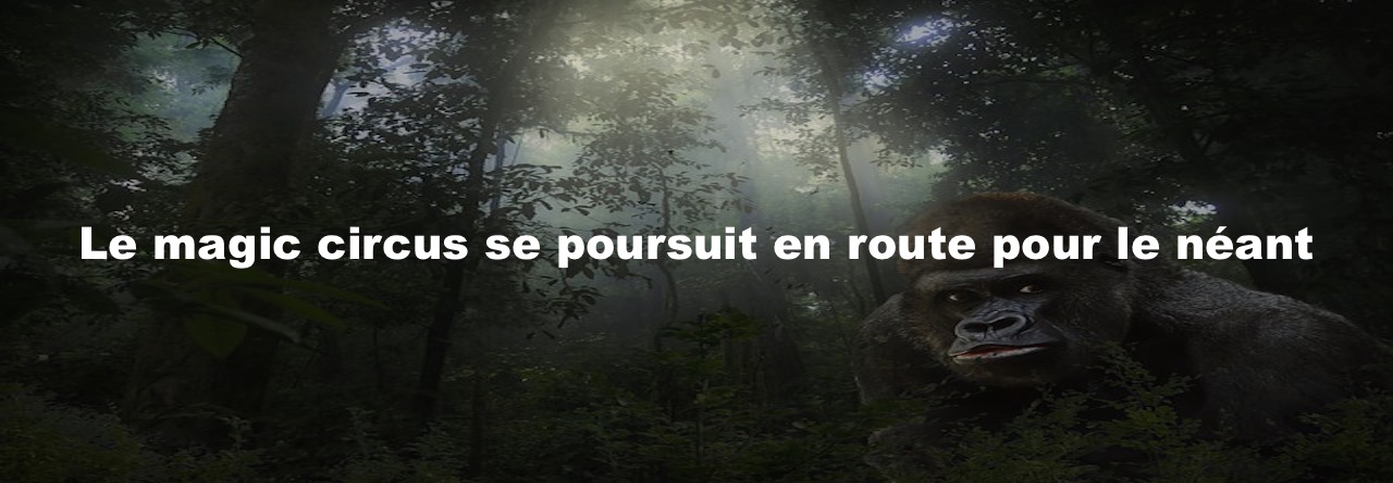 Les Boulets de la République 10