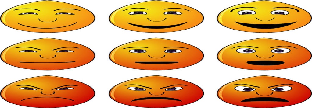 La France pleure et les politiciens&nbsp;ricanent