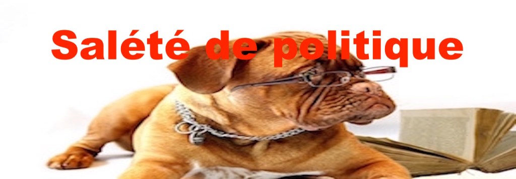 Saleté de politique