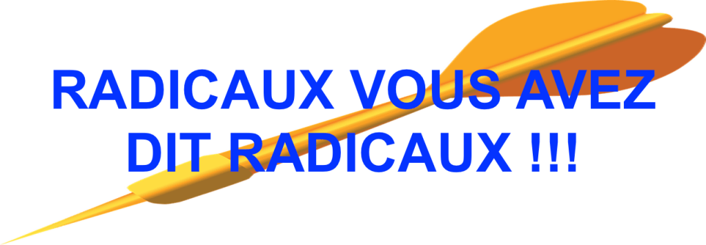 Un spectacle déplorable&nbsp;7