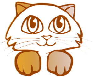 kitten-971704_960_720