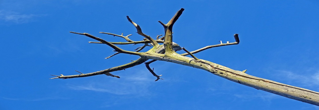 Communiqué du Général Antoine Martinez