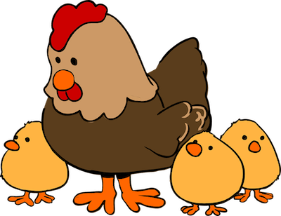 chicken-159496_960_720