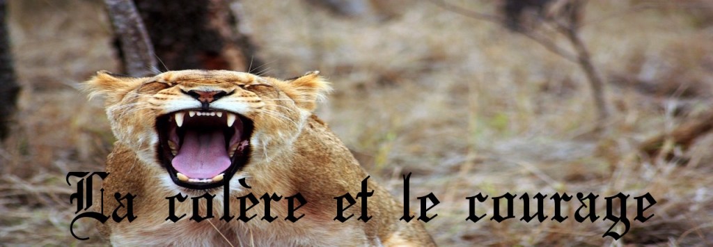 La colère et le&nbsp;courage