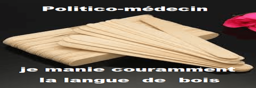 Politique et langue de&nbsp;bois