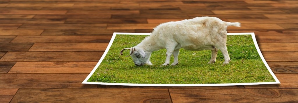 Brèves de décrottoir