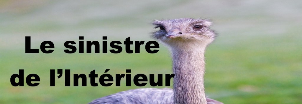 Le sinistre de l&rsquo;Intérieur