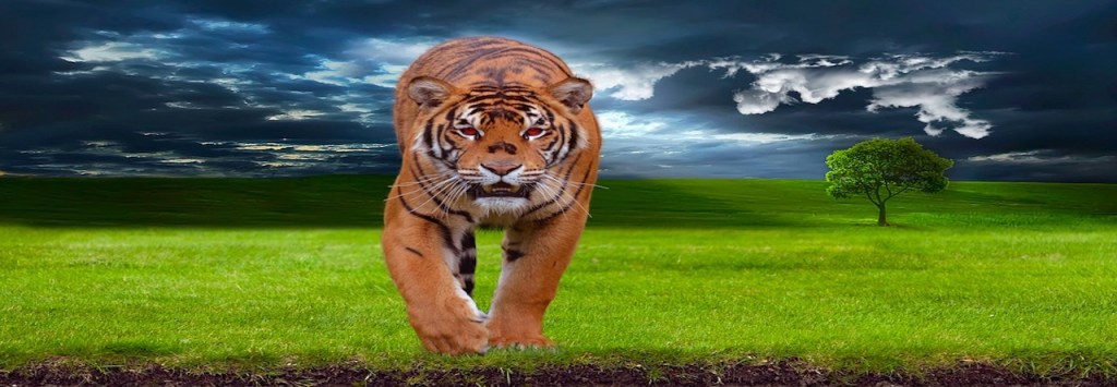 L&rsquo;ampleur de la&nbsp;colère