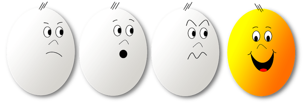 Le FN à double&nbsp;tranchant