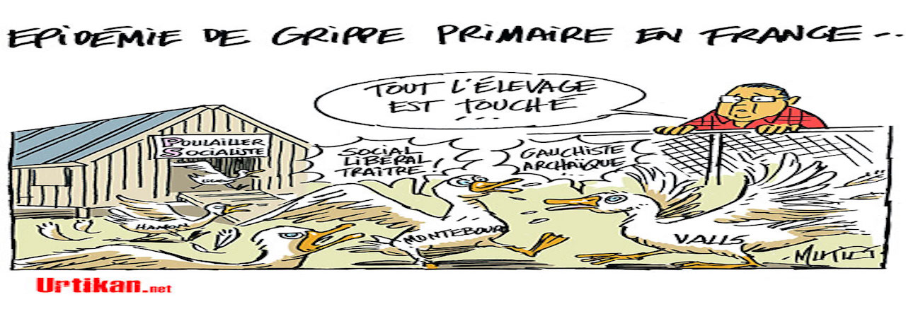 2017, année du citron: cela presse.