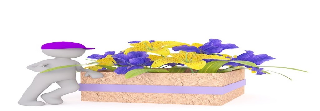 Vendeurs de rêve, vendeurs de&nbsp;vent.