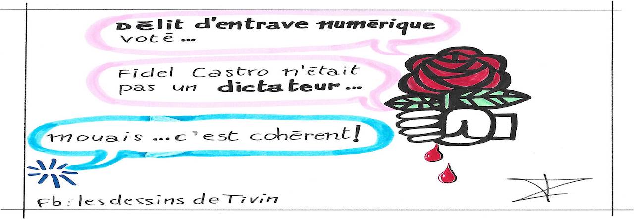 Deux Mégères non apprivoisées…