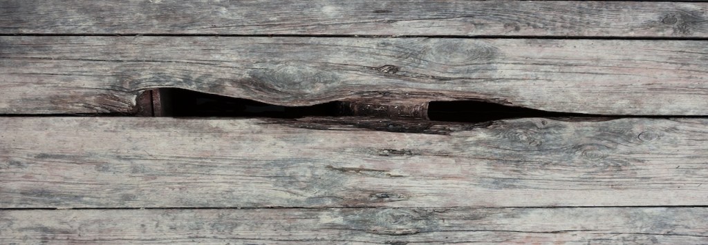 La France dénaturée