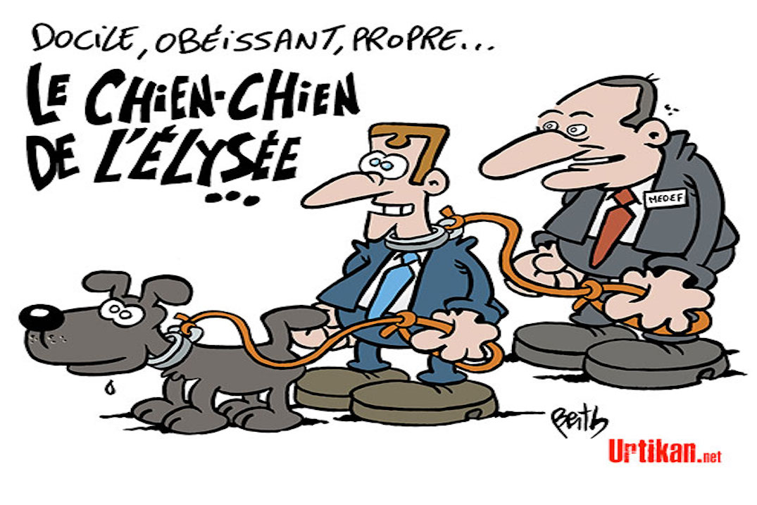 Faire du mal à un chien ?