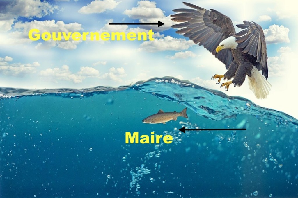 Quand les maires&nbsp;montent