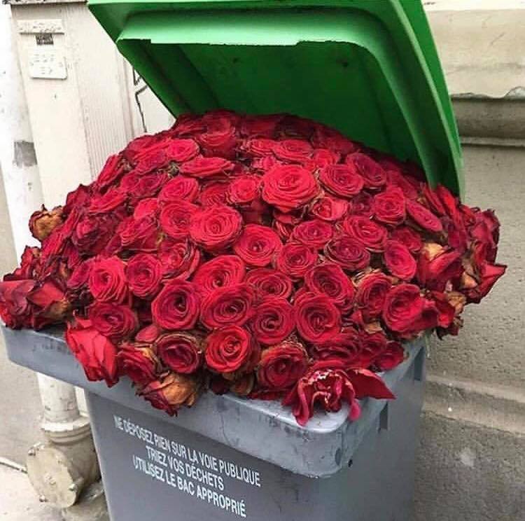 LA FANGE ORDINAIRE&nbsp;REMONTE.