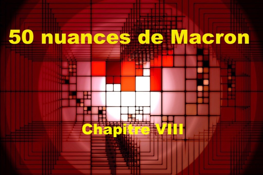 50 nuances de Macron&nbsp;VIII