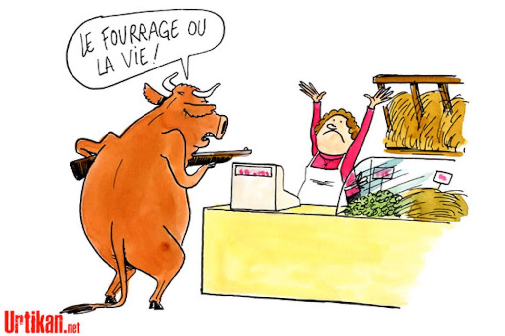 Une politique de&nbsp;voyous