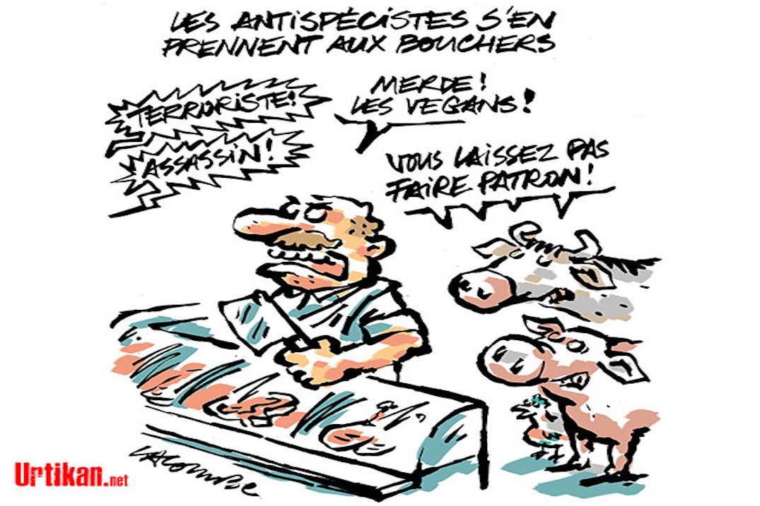 Quand l’élite se délite…