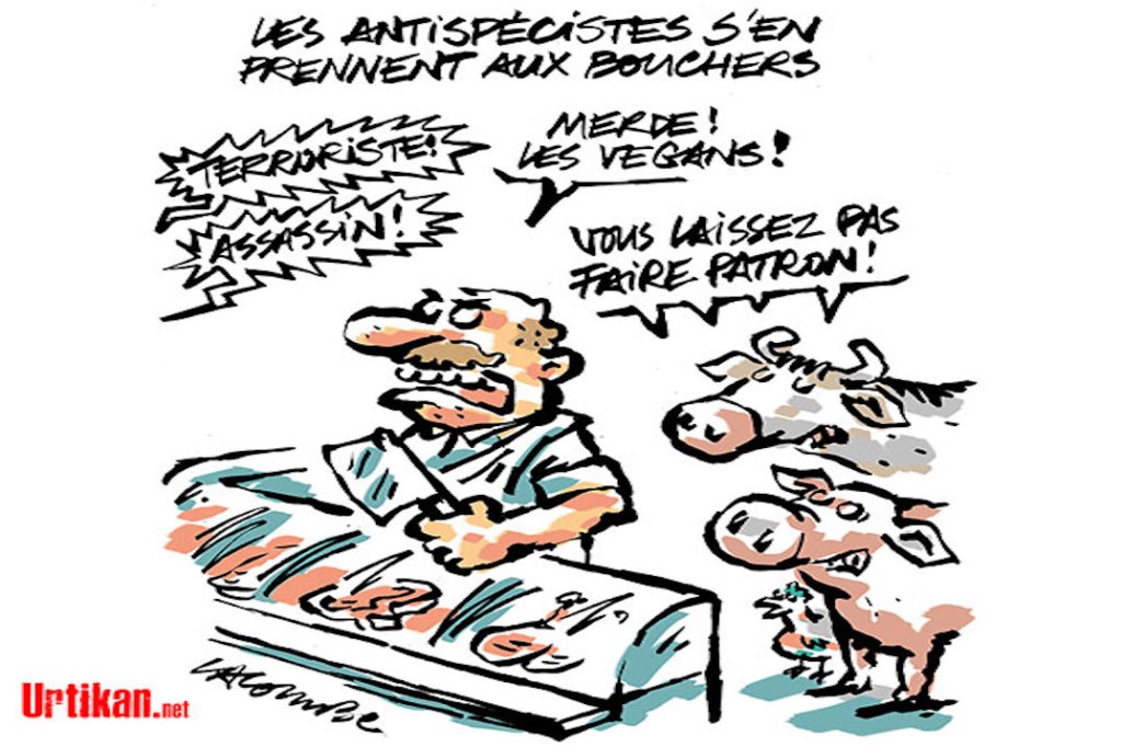 Quand l’élite se&nbsp;délite…