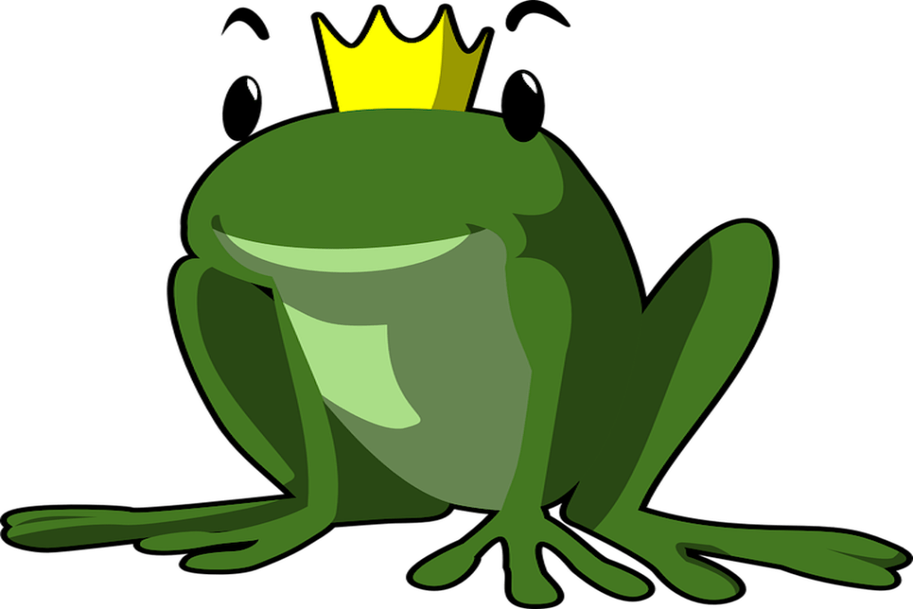 Le roi de France ne sera pas celui de&nbsp;l’Europe…