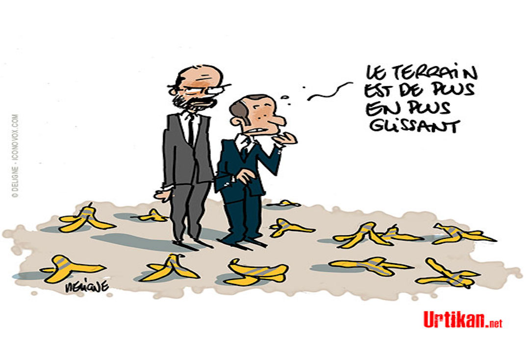 Le Grand Bololo National