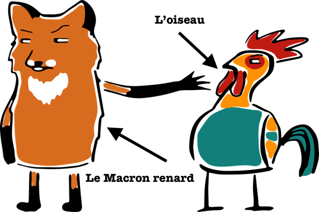 QUE VONT-ILS FAIRE&nbsp;?