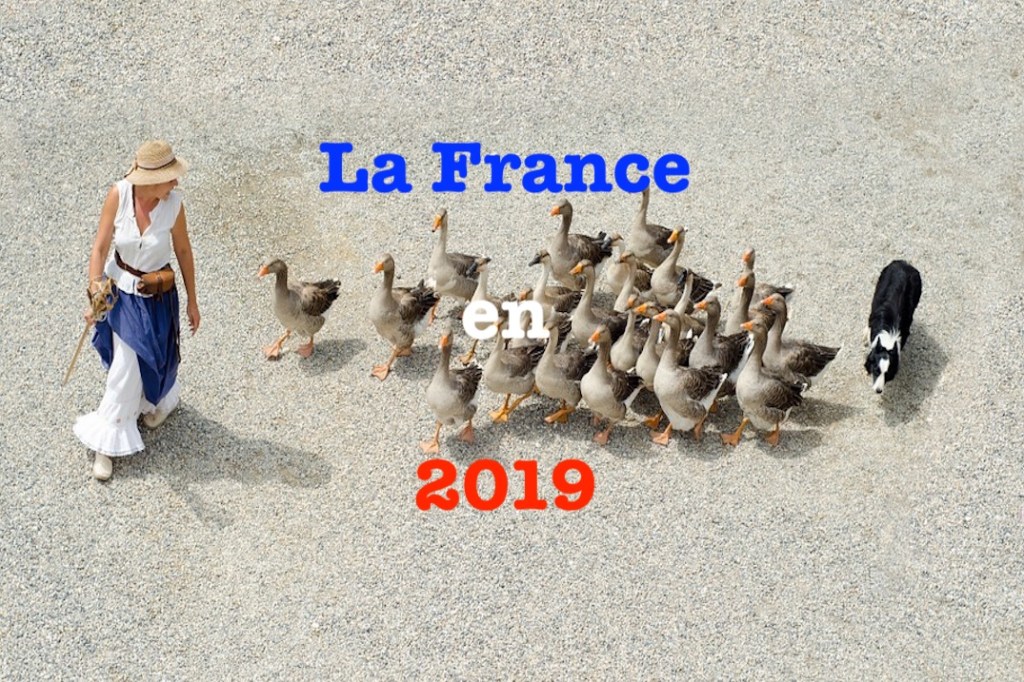 La France en&nbsp;2019