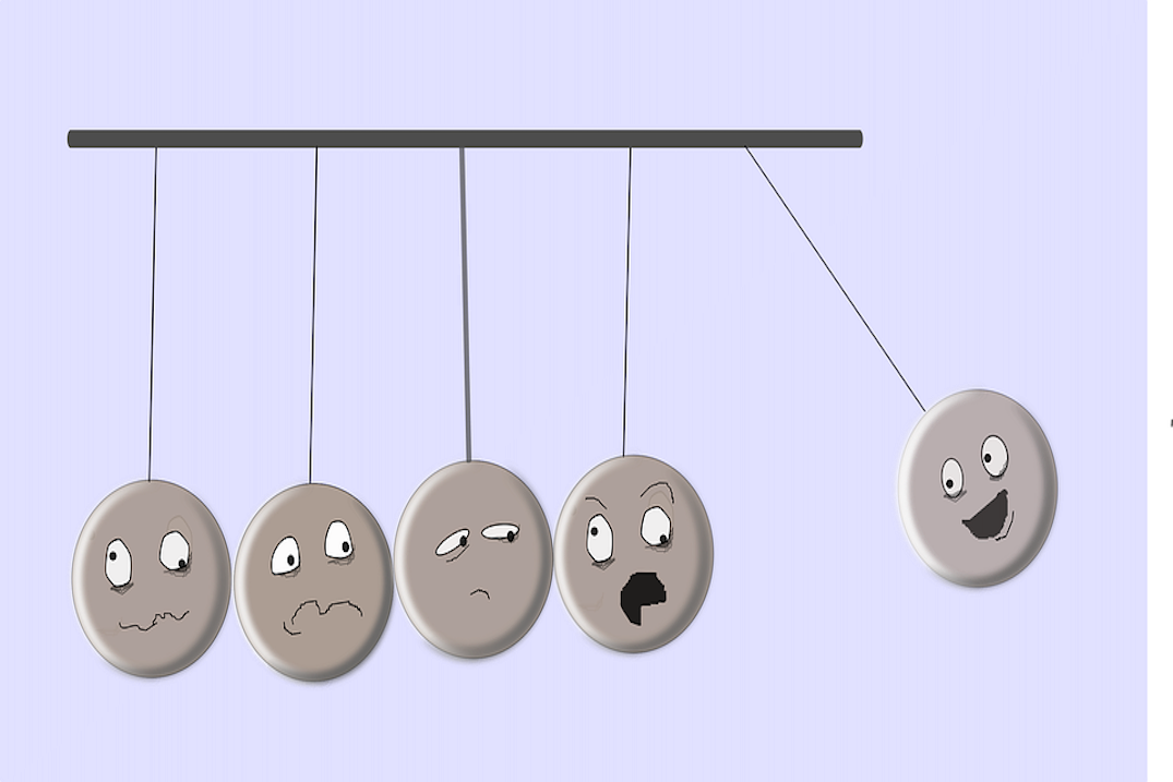 Des idiots inutiles... pour la France !