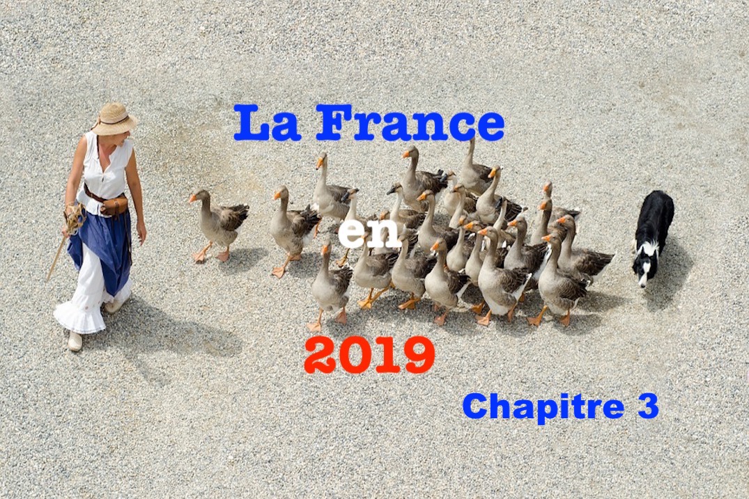 La France en 2019 #3