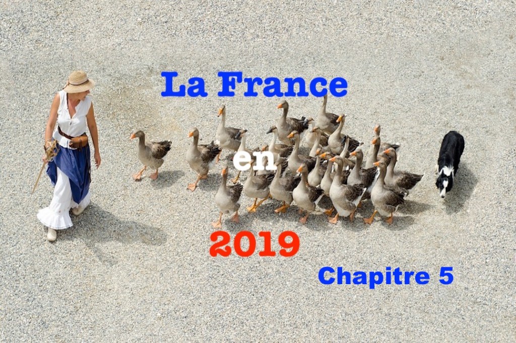 La France en 2019&nbsp;#5