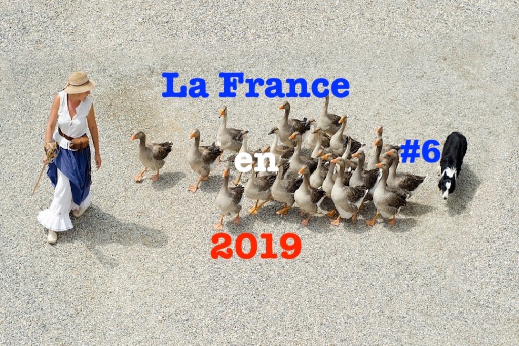 La France en 2019&nbsp;#6