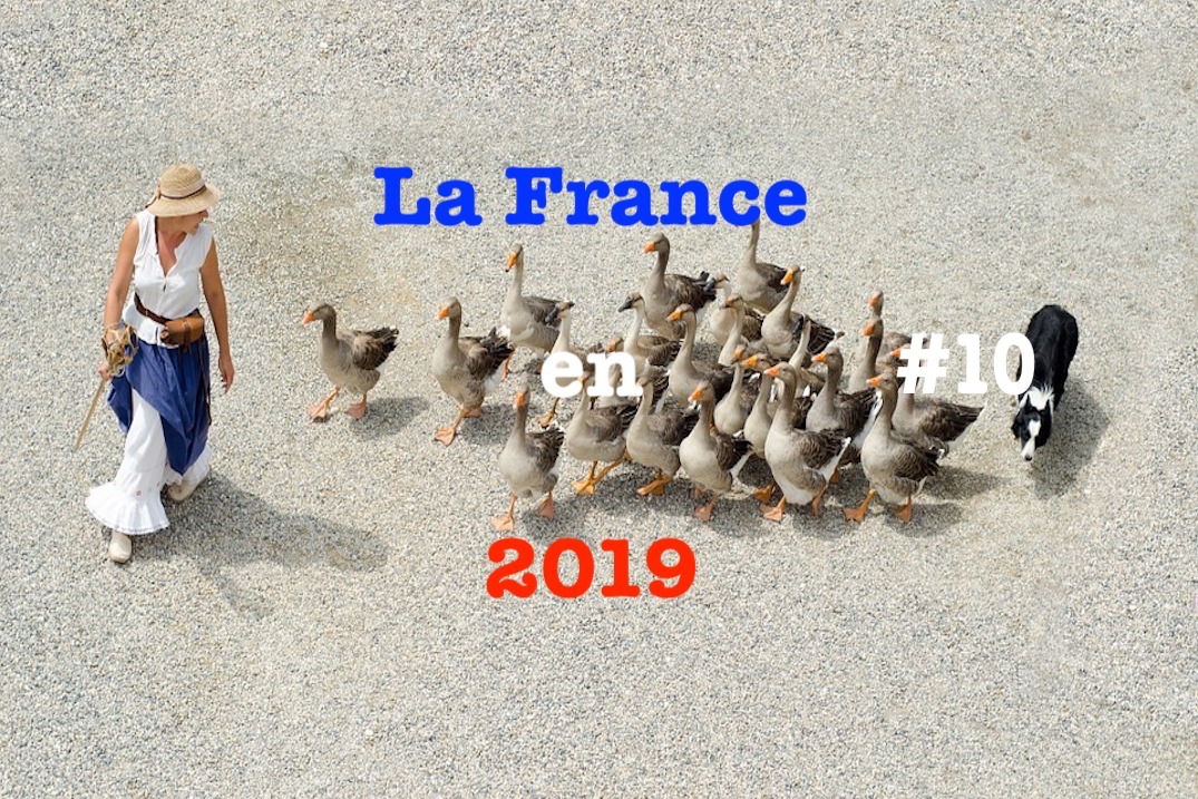 La France en 2019 #10
