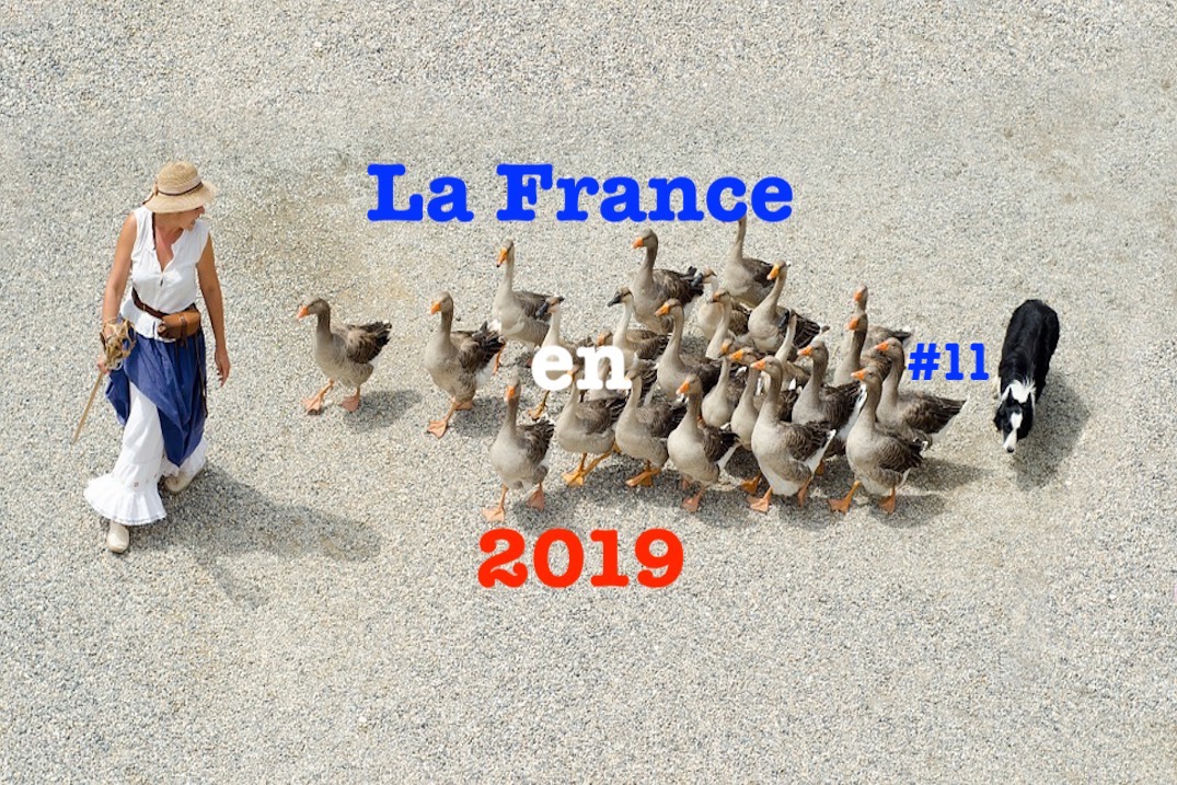 La France en 2019