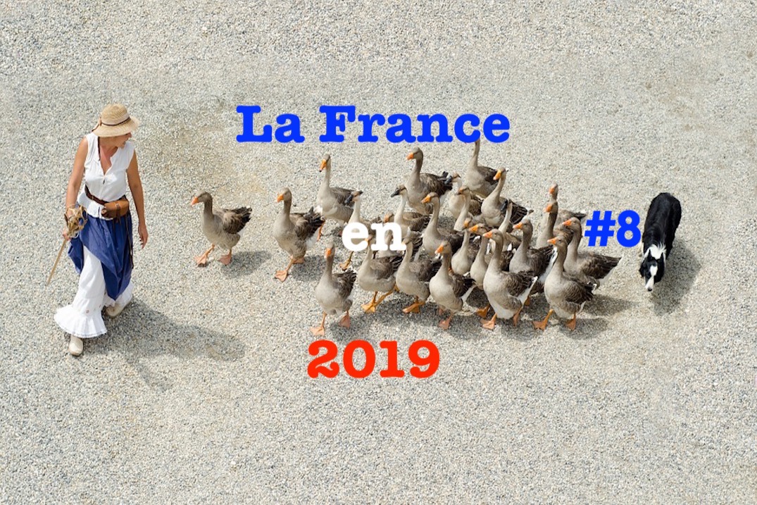 La France en 2019 #8